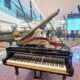 Pianist at Logan International