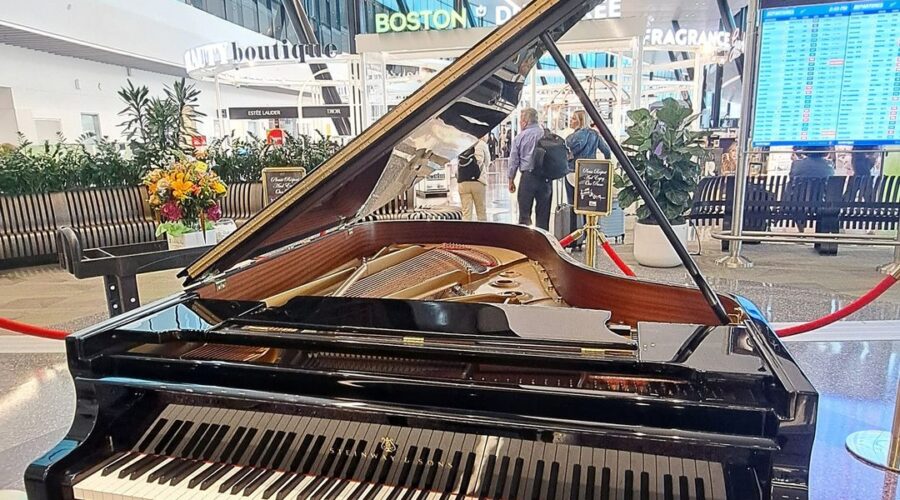 Pianist at Logan International